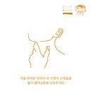 아로마롤온샵