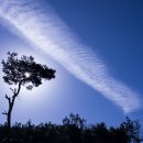 구름이네 이미지