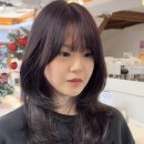 디페드 이미지
