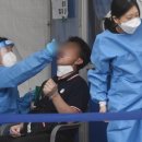 도봉-도봉-2085 이미지