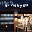 보비동물병원 | 인천 산곡동 동물병원 보비동물병원 위치 오는길 후기