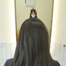 도유보네르