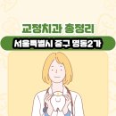 서울특별시 중구 명동2가 교정치과 총정리