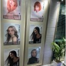 더샾헤어 이미지