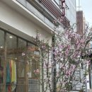 범바위식당 - 남양주시 | 인왕산 등산 등린이 왕초보 코스 후기