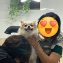 블링펫살롱 이미지