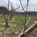 모래벌농장 이미지