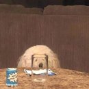 베트남식당 이미지