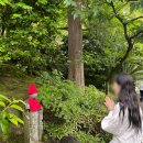 2023-0005 | [ 일본 도쿄 가마쿠라 ] 도쿄 3박 4일 자유여행ㅣ3편!!