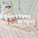 정리정돈과 함께하는 홈스타일링 | 역대급 한파도 무섭지 않아! 프레젠트프로젝트 블랭킷으로 완성한 겨울 홈스타일링