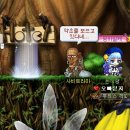 비올라펫