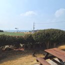 미쁜제과 제주 <b>미쁜</b><b>제과</b> 카페, 서귀포 대형카페 추천