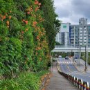 희망대공원길 이미지