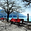 따스한봄날 이미지