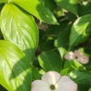 그린농장2 이미지