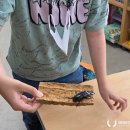 괘법초등학교 이미지