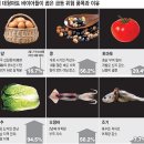 파동마트 이미지