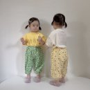 레츠비티