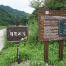 광원리 월둔교 이미지