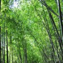 멍석 민박 이미지