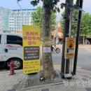 프로젝트클린 영등포신문