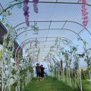 카페 해시목 이미지