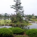 표선청년회의소 이미지