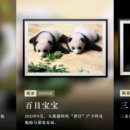 신화사 이미지