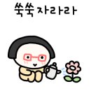 이든플라워 네이버블로그