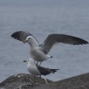 달빛창가에서 이미지