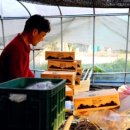 오이축산 이미지