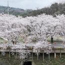 판암역 2번출구 이미지
