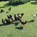 로그밸리 이미지