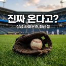 이종열차이나 | 삼성 라이온즈 크리스 페덱 영입설, 메이저리거 합류로 가을야구 우승 가능할까요?