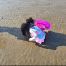 독산레인보우펜션 | 무창포 풀빌라 펜션 누구나 좋아할 레인보우