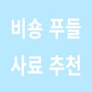 선유팜 | 2025년 비숑 프리제와 푸들을 위한 강아지 사료 추천 가이드