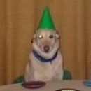 보영헬스클럽 | 자다가 깨서 올리는 블로그