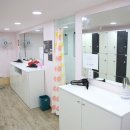 짐피닉스 이미지