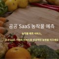 지디에스컨설팅 이미지