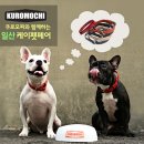케이멍 네이버블로그