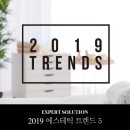 비주얼 에스테틱
