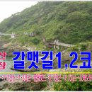 5/1(토)~3(월) 2박3일 부산 갈맷길 1코스,2코스 트래킹. 이미지