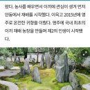 신흥팜 이미지