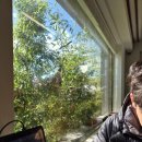 삼동소바 안양평촌점 이미지