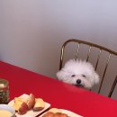 토끼집스테이 이미지