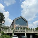 타타스 유림점 | 용인 타다스 베이글 유림점 솔직후기 ｜ 브런치·크림치즈·소금·크랜베리호두 베이글 맛집 추천