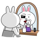 코니 이미지