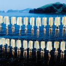 안덕계곡 앞 4 이미지