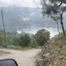 파아란 숲길 펜션 이미지