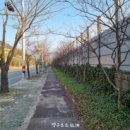 지에스(GS)25물금KTX점 이미지